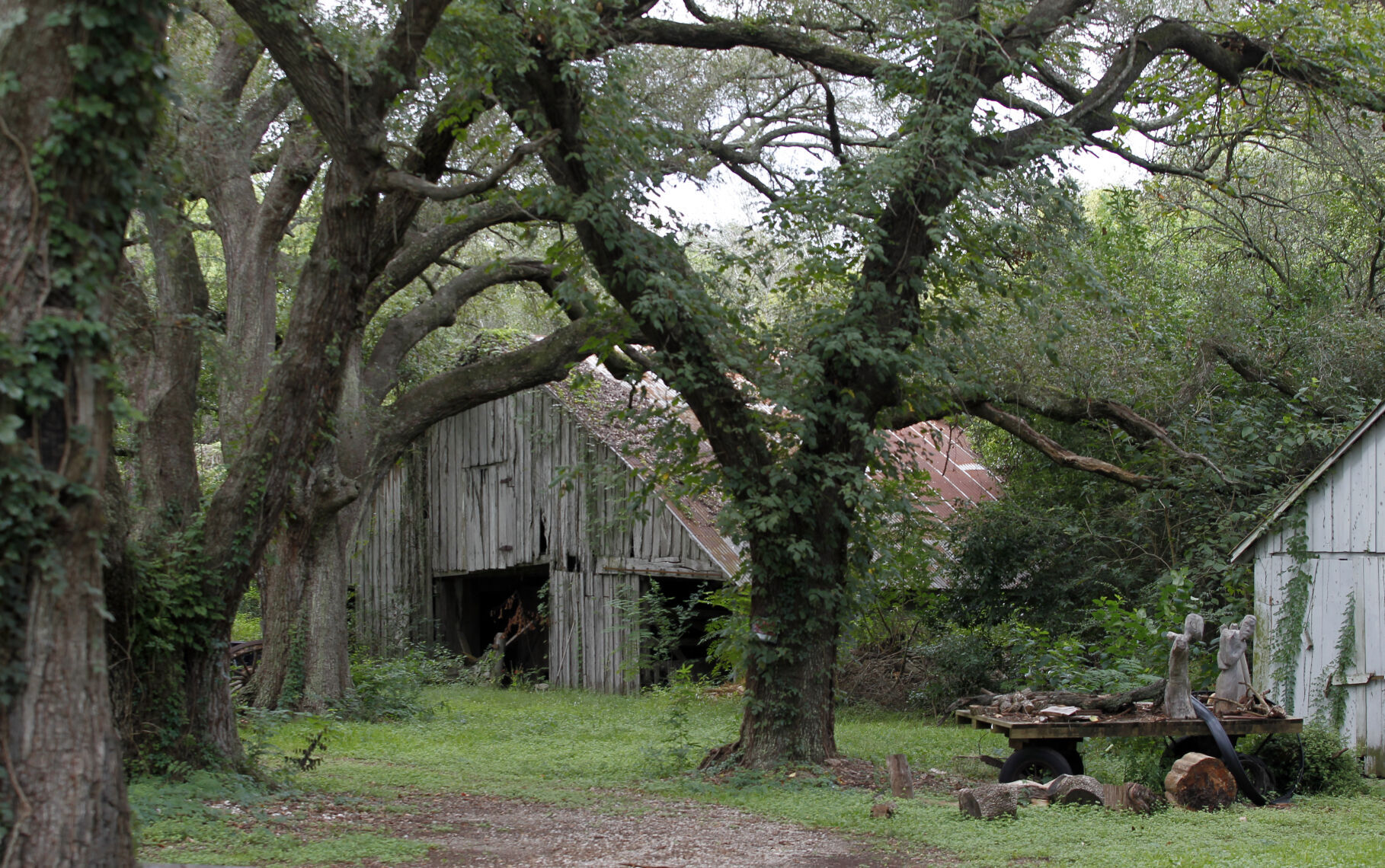 Stringfellow Orchard